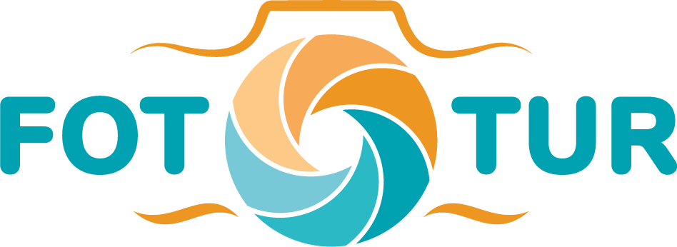 dodgerblue-bee-444671.hostingersite.com